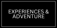 Experience & Adventure (Sportfishing) marketing